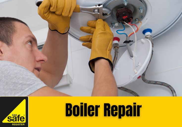boiler repair Belvedere