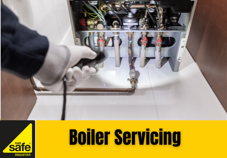 boiler service Belvedere
