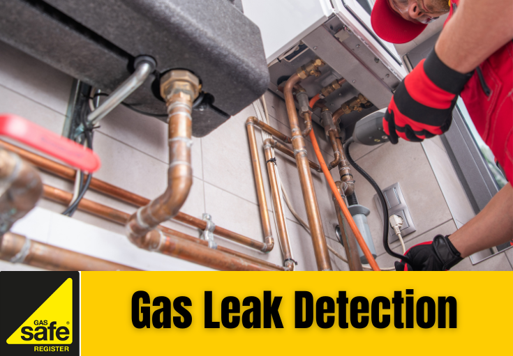gas leak detection Belvedere