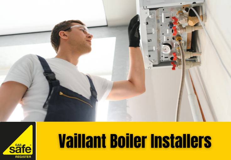 Vaillant boiler installers Belvedere